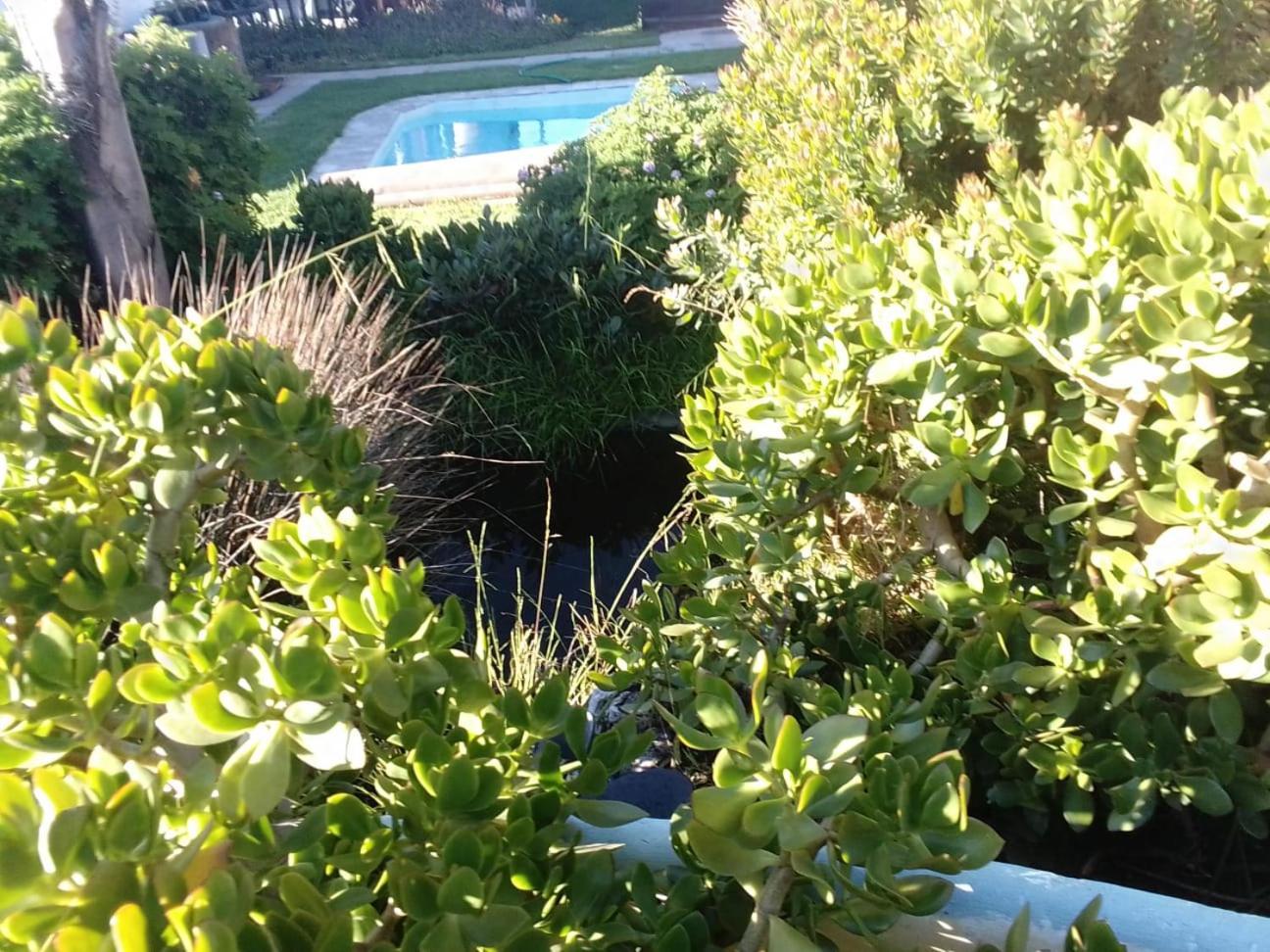 Coco De Mer Self Catering Log 1 Lambert's Bay Luaran gambar